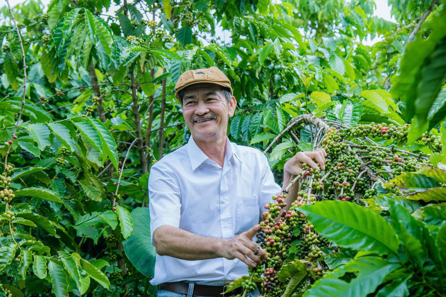 Từ nhà giáo đến nhà nông tiêu biểu toàn quốc