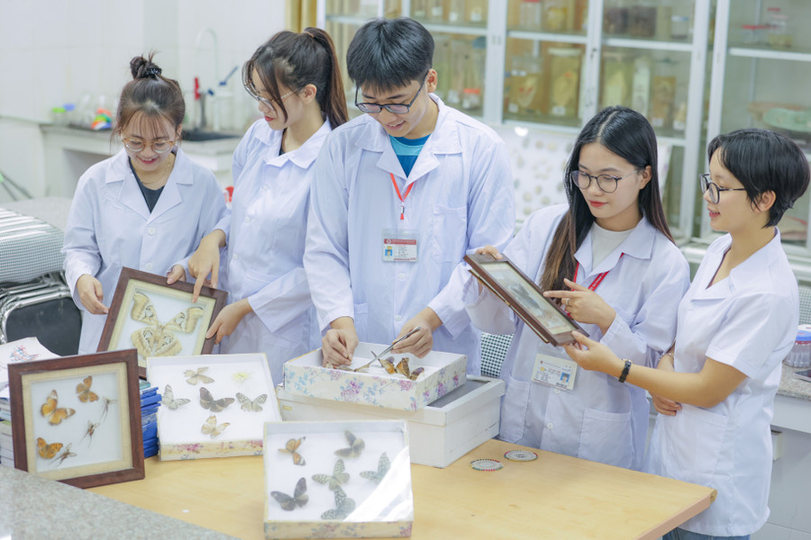 Giới hạn số lượng nguyện vọng giúp thí sinh lựa chọn ngành học chất lượng hơn